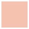 Bourjois - Poudre Eclat Mineral 15 Gr N05 Doré