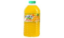 Volvic Bouteille Pet 1,5L Jus Fruits Exotiques