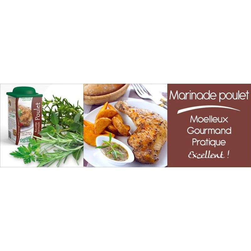 Daregal 70G Marinade Poulet X12