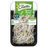 Crudettes Pousses De Haricot Mungo 250Gr