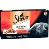 Sheba Barq Coff Boucher 4X85G