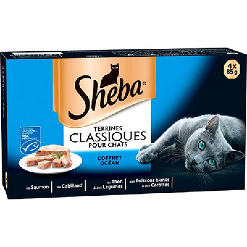 Sheba Océan 4X85G