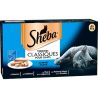 Sheba Océan 4X85G