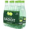 Badoit Pack Bouteille Pet 6X50Cl Eau Citron Vert