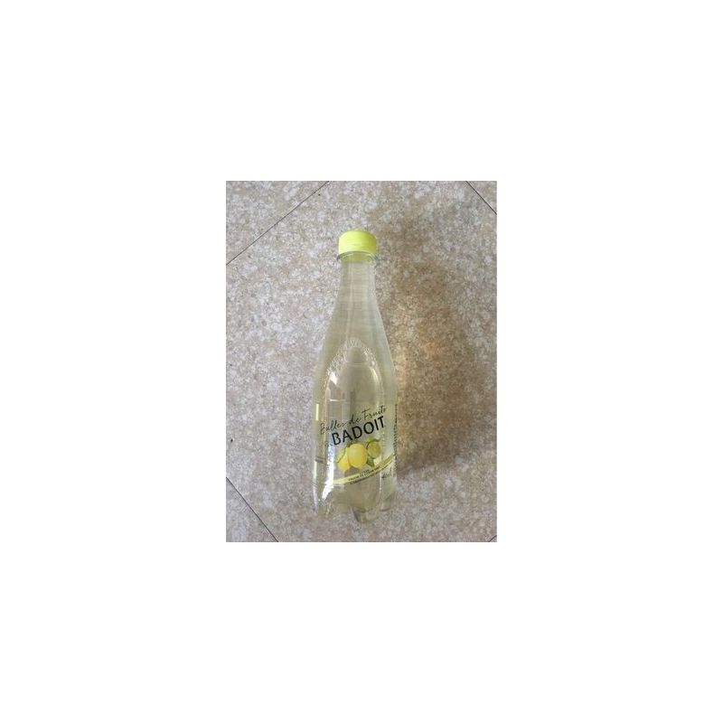 Badoit Bulles Cit/Cit Vt4X40Cl