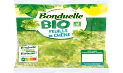 Bonduelle Feuile Chene Bio100G