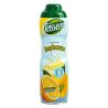 Teisseire Bidon 60Cl Sirop Pamplemousse