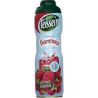 Teisseire Bidon 60Cl Sirop Framboise