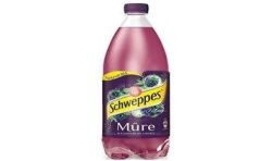 Schweppes Bouteille Pet 1,5L Mure