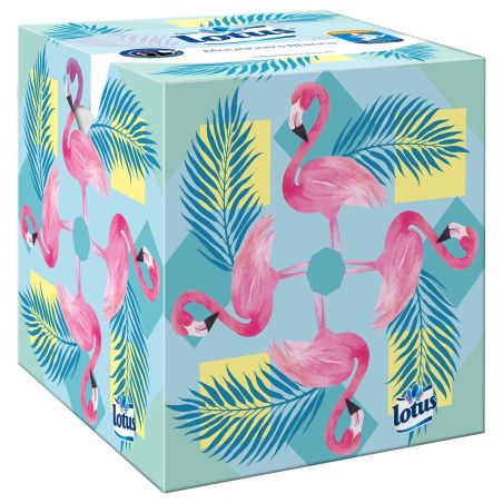 Lotus Mouchoirs 3 Épaisseurs Douces : La Boite De 48