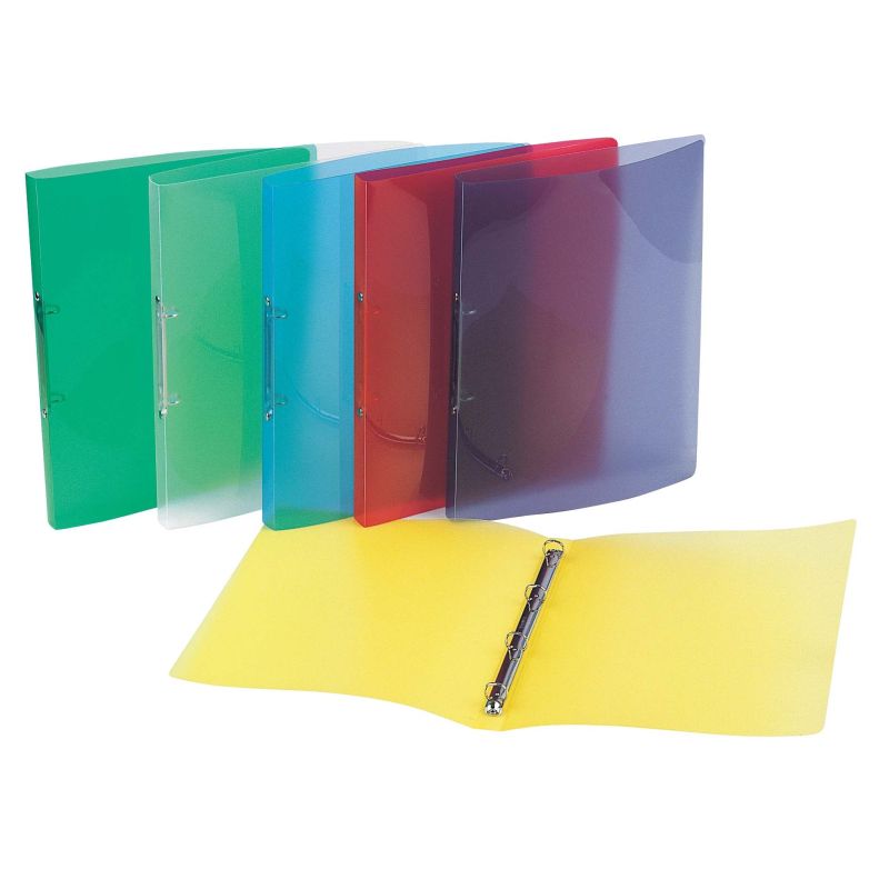 Viquel Classeur Cah A4 Propyglass