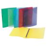 Viquel Classeur Cah A4 Propyglass