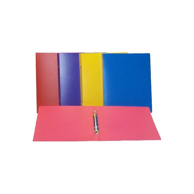 Viquel Class.Cahier 17X22 D20