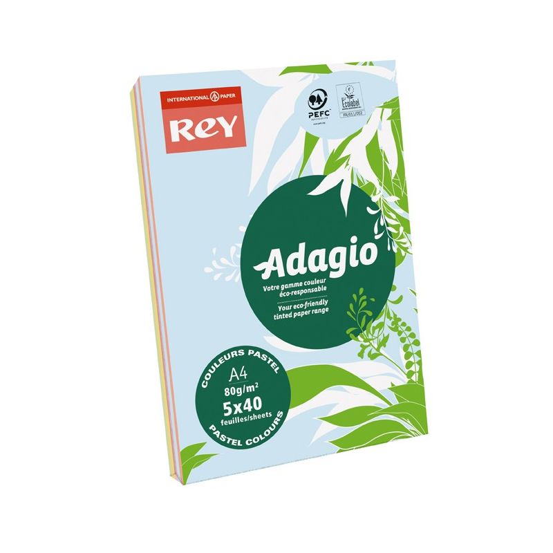 Rey Ramette De Feuilles Papier Couleur Adagio Teintes Pastel Et Vives 200 A4 80 G