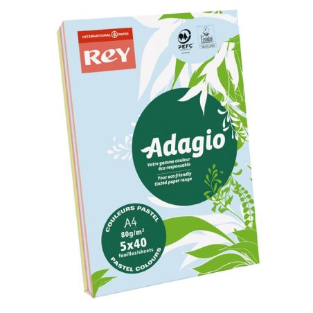 Rey Ramette De Feuilles Papier Couleur Adagio Teintes Pastel Et Vives 200 A4 80 G