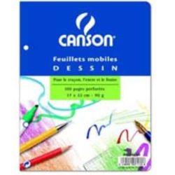 Canson F.M. Dessin 17X22 100P