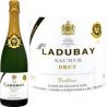 Ladubay B.Ladubay Saumur Brut 12%V Bouteille 75Cl