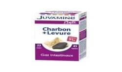 Juvaflorine Juvamine Gellules Charbon Levure X44
