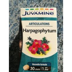 Juvaflorine 30 Comprimes Harpagophytum Articulation