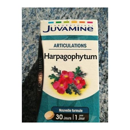 Juvaflorine 30 Comprimes Harpagophytum Articulation