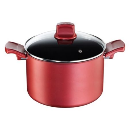 Tefal Faitout Character D20 Cm : L'Ustensile De Cuisson