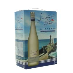 L'Instant Bleu Muscadet Vin Blanc Bib 3L