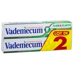 Vademecum L2X75 Dent Fluor&Pl.Vadem