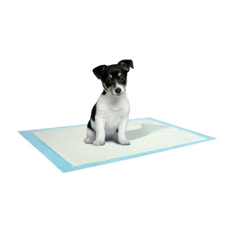 Saint Bernard Tapis Absorbant Pour Chien 40 X 60 Cm 10 Pièces