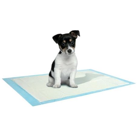 Saint Bernard Tapis Absorbant Pour Chien 40 X 60 Cm 10 Pièces