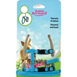 St Bernard Saint Kit Harnais Rongeur Small