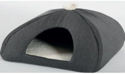 Saint Bernard Igloo Chat Lily