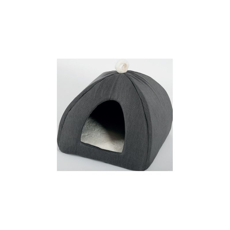 Saint Bernard Igloo Chat Lily