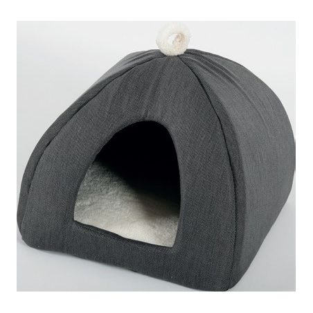 Saint Bernard Igloo Chat Lily