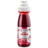 Rians 170G Coulis Framboise
