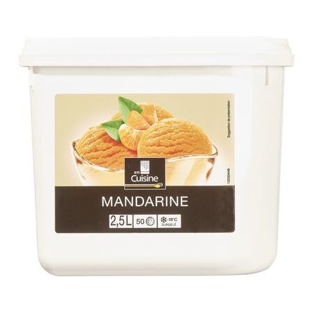 En Cuisine 1,35Kg Sorbet Mandarine