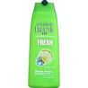Fructis Shampooing Fresh 250 Ml