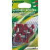 Lumi'Car Cosses Plates 10 Mâles Isolées Et Femelles Rouge