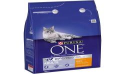 Purina One Croquettes Pour Chat Adulte Poulet : Le Sac De 3 Kg