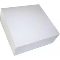 Gault Et Fremont 50 Bte Pat Blc Ss Imp.29X29X5