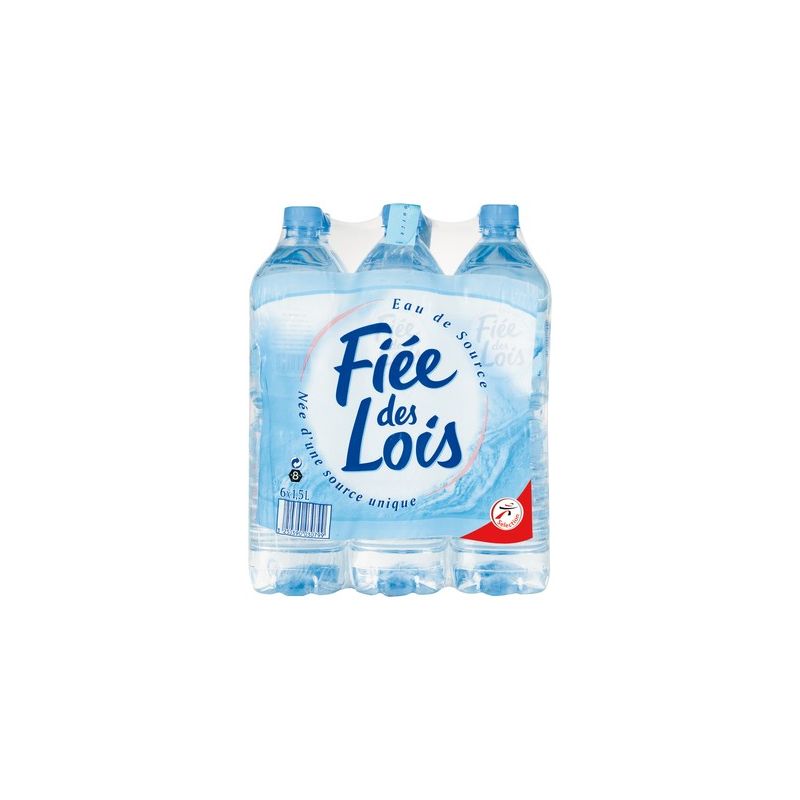 Fiee/Lois Fiee Des Lois E.Sou 6X1L5 1/2P