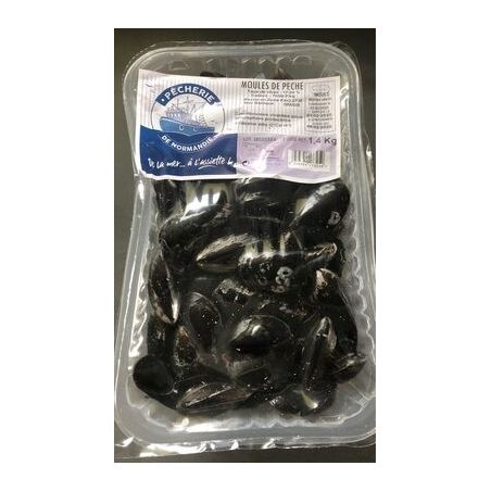 1Er Prix Moule Peche Edulis 1.4Kg