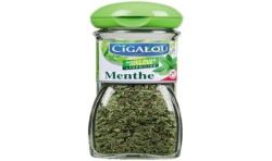 Cigalou Menthe Lyo 4G P.Ver