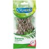 Cigalou Romarin Branc 15G Sht