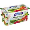 Paturages Pat Yt Panache Fruits 16X125G