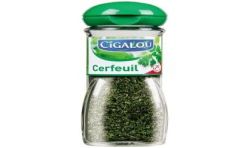 Netto Cerfeuil 8G