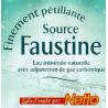 Netto E.Min.Finem.Gaz 1L25 Pal