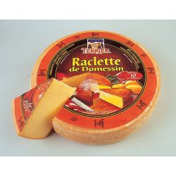 Terrier Raclette Aff.10S 6K5