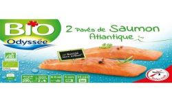 Odyssee Bio Odysse Pave Saumon 2X100G