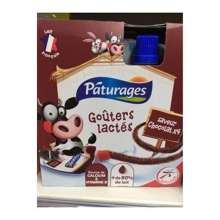 Paturages Gourde Choco 85Gx4