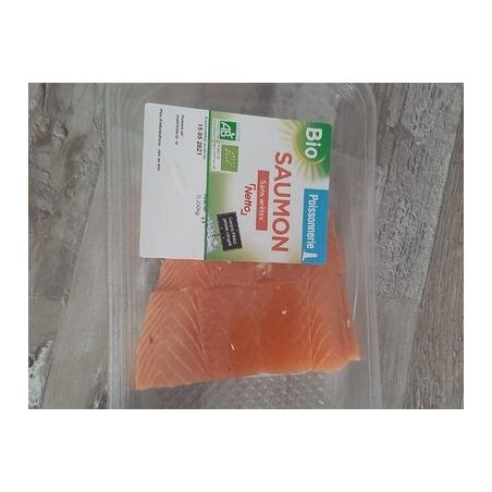 Netto Paves Saumon Bio 2X125G